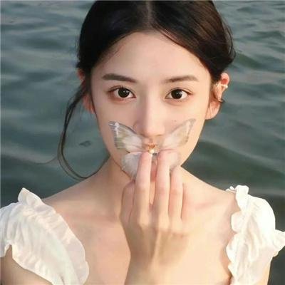 鲨海